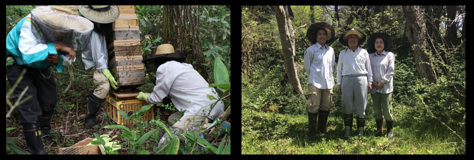 こだわりのはちみつ